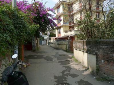 Tibetan Peace Guesthouse